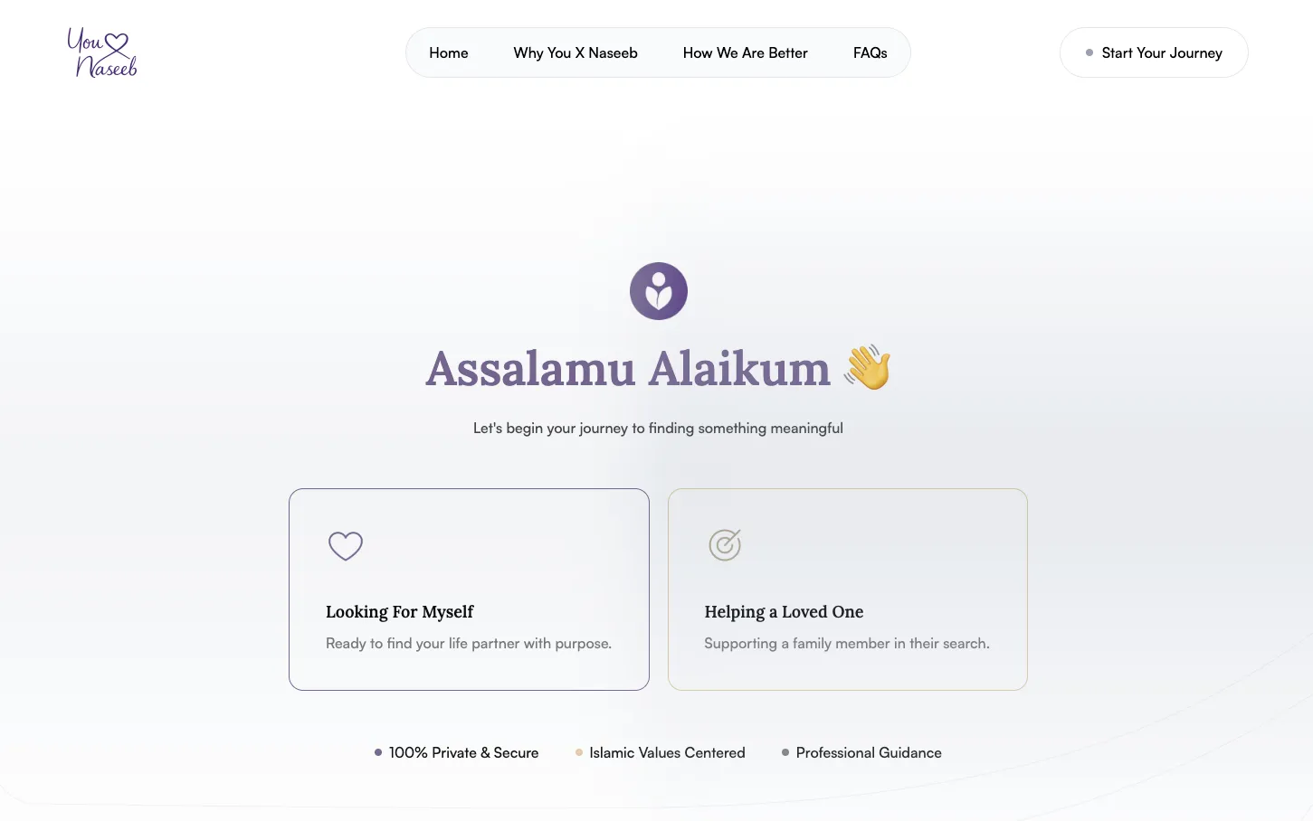You x Naseeb's chat interface